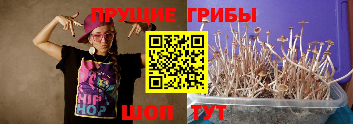 Галлюциногенные грибы MAGIC MUSHROOMS Соликамск